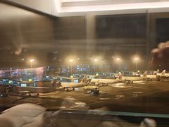 -南京禄口机场雅高铂尔曼大酒店