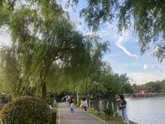 -艾溪湖湿地公园