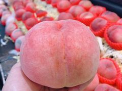 北京水蜜桃-水果天空(东葛店)