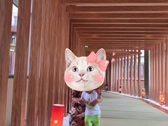 -重庆南山海昌汤都