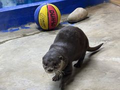 -太平洋海底世界