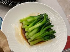 -金粤九号(李公堤店)