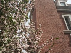 -天津津利华酒店