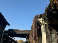 -运河游船(武林门码头)