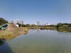 -福田红树林生态公园