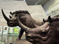 -大庆市博物馆
