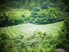 -敬亭山风景名胜区