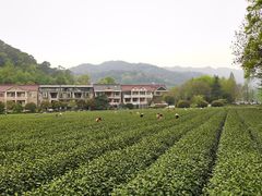 -素清香(解放路店)