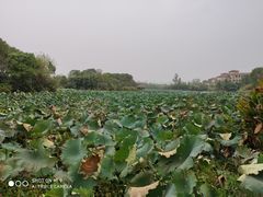 -艾溪湖湿地公园