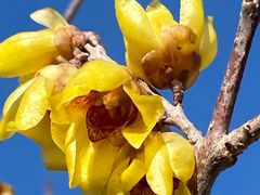 -国家植物园南园