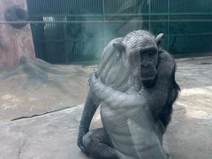 -石家庄市动物园