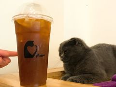 -喵匠猫主题咖啡(凯德和平广场店)