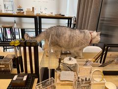 -Oasis绿洲银饰珍珠手作diy(壹方城店)