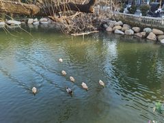 -金庭庄园酒店-停车场