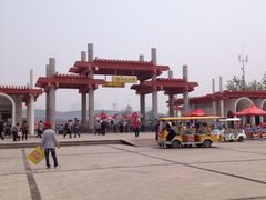 -曹州牡丹园