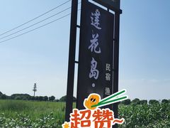 -莲花岛景区