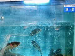-小隐院子·庭院餐厅(大学城后湖店)