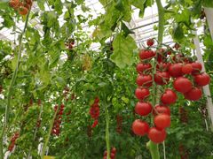 -中国天府农业博览园