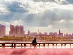 -羊亭河湿地公园