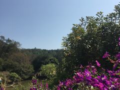 -南国桃园旅游度假区