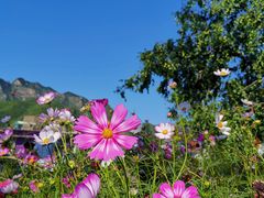 -百里峡七彩艺术小镇