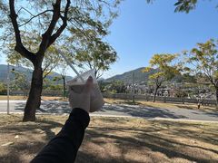 -白石龙音乐公园