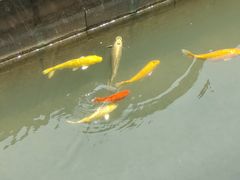 -陈武帝故宫