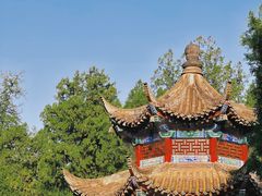 -洛阳白马寺