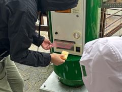 -神户市立六甲山牧场