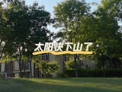 -东坝千亩湖公园