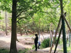 -白水寺森林公园