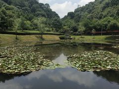 -桃花岭景区