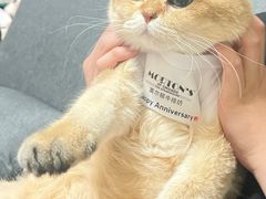 -莫尔顿牛排坊(浦东ifc店)