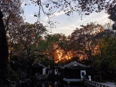 -秋霞圃