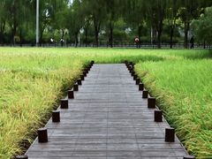 -北坞公园