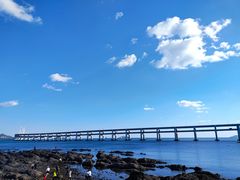 -星海湾跨海大桥