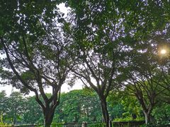 -黄埔古港