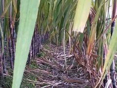 -汉长安城未央宫国家考古遗址公园