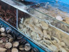 -港畔赶海蒸汽海鲜烧烤自助(仙螺岛店)