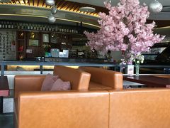 -风雅老树咖啡(清远店)