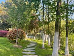 -四里河滨水生态公园