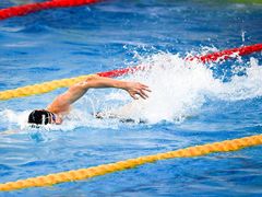 -重庆市奥林匹克体育中心-游泳跳水馆