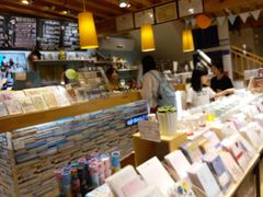 -猫的天空之城概念书店(丽江古城饮玉巷店)