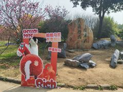 -天适樱花悠乐园