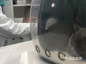 很专业的宠物医院，值得信赖
