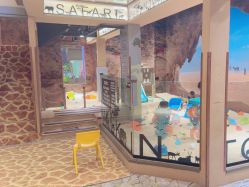 -卡通尼·Safari非洲探索乐园·生日会(金桥国际商业广场店)