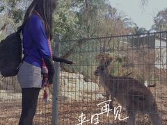 -费瑟代尔野生动物园