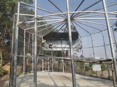 -安徽大青山野生动物世界
