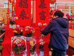 -越秀西湖花市(广州城市广场花卉店)
