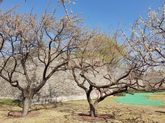 -北京明城墙遗址公园